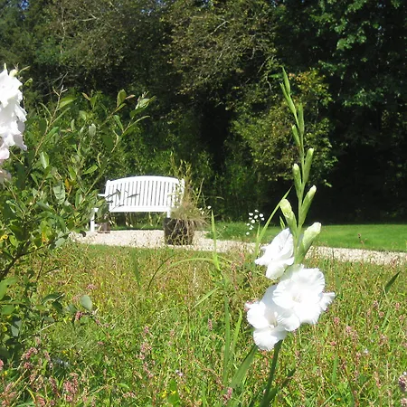 Bambou Couette-café Genneville