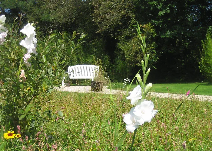 Bambou Bed & Breakfast Genneville